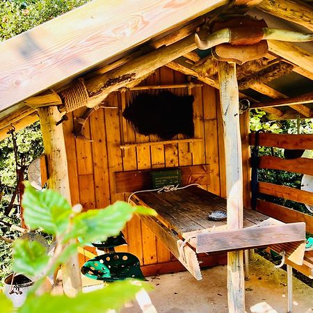La Cabane Perchee Du Trappeur Écrainville Exterior foto